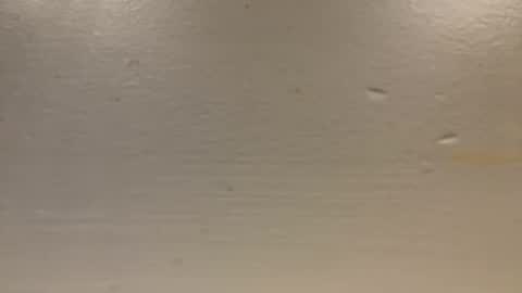 Snapshot of sexislitpuss69 chatting on 01.01.25 sexislitpuss69 online show from 01.01.25