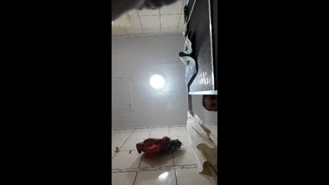 sexshyfun online show from 01.16.26