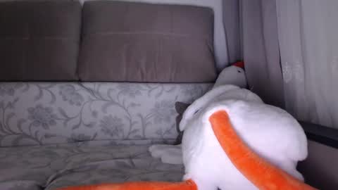Snapshot of sexsy_bunny chatting on 10.01.25 See you on October  going to miss you guys incredibly. Subscribe to my  Onlyfans  Channel to follow the news online show from 10.01.25