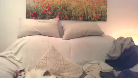 Sexurbation online show from 12.10.24