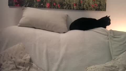 Sexurbation online show from 01.01.25