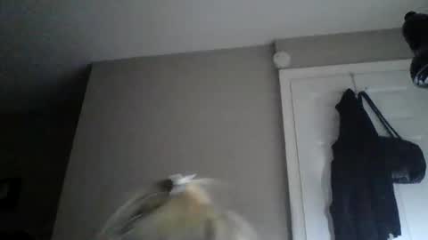 sexxiibossbabe online show from 12.19.25