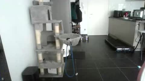 sexy53 online show from 02.17.26