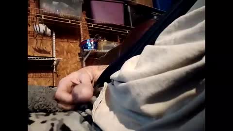 Snapshot of sexy_richy chatting on 11.01.25    RICHY    online show from 11.01.25