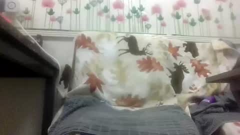 Snapshot of sexy_white_daddy chatting on 02.04.26 Daddy online show from 02.04.26