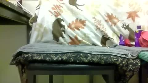 Snapshot of sexy_white_daddy chatting on 02.13.26 Daddy online show from 02.13.26