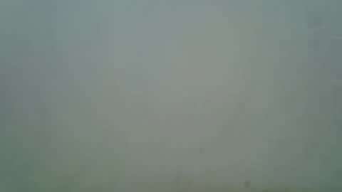 sexy liah online show from 09.29.25