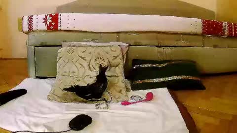 Squirty Maya Gold online show from 01.16.25