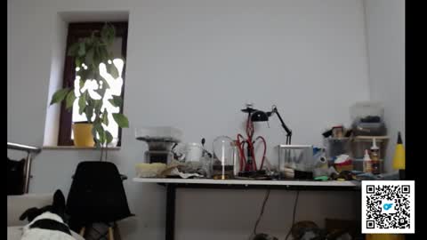 Snapshot of sexymuscle26 chatting on 02.04.25 Adrian online show from 02.04.25