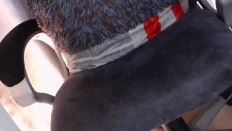    online show from 02.07.25