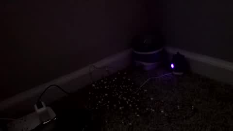 Snapshot of sgrbrnxxx chatting on 03.04.26 Sugar Brown online show from 03.04.26