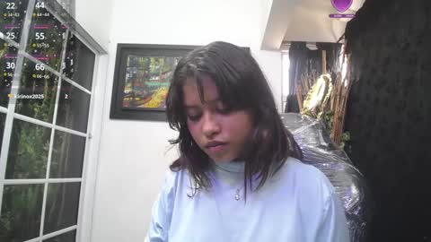 Snapshot of shailayojana chatting on 01.15.25 Shaila online show from 01.15.25