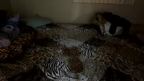 Shaman Woman online show from 12.06.24