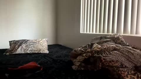 Shaman Woman online show from 12.25.24