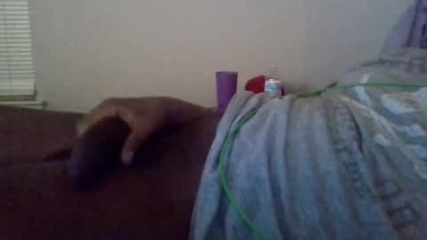 Snapshot of shameak chatting on 10.28.25 Shameak online show from 10.28.25