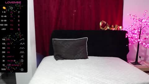 Snapshot of shanel_passion chatting on 02.12.25 Shanel online show from 02.12.25