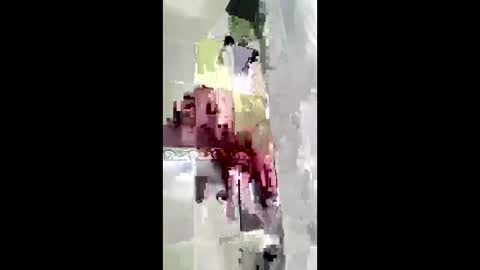 shanelle7 online show from 01.17.26