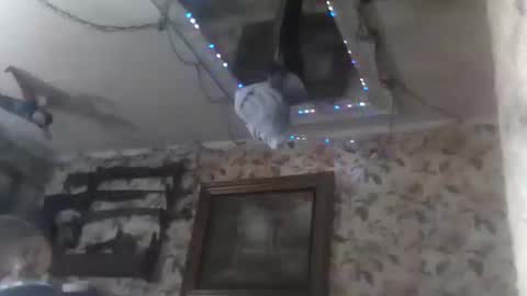 shanelle9270 online show from 09.14.25