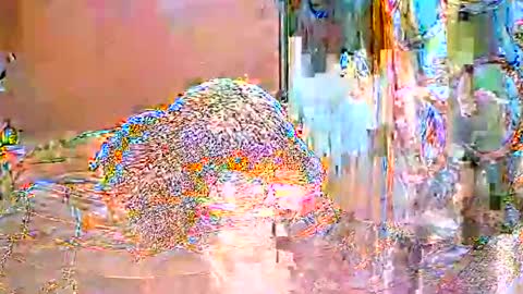 ShanyaRise online show from 05.14.26