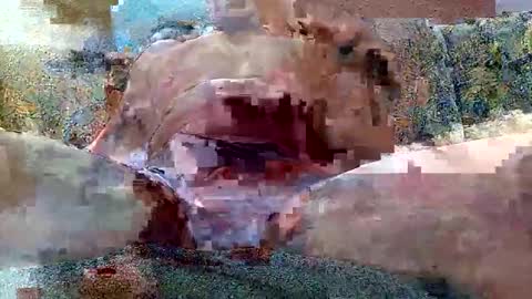 Snapshot of shaomy711 chatting on 10.26.25 excelo21 online show from 10.26.25