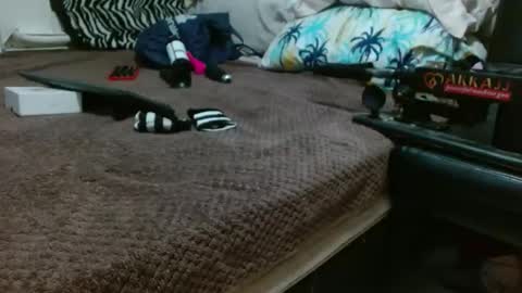 sharlot03 online show from 02.12.25