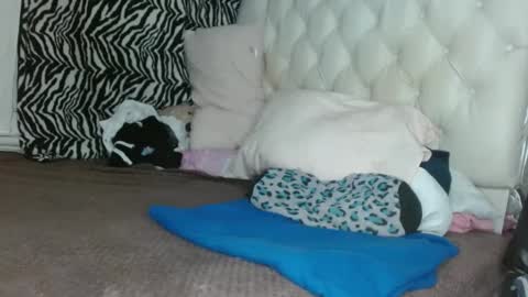 sharlot03 online show from 03.11.25