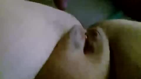 shay6371 online show from 11.28.25