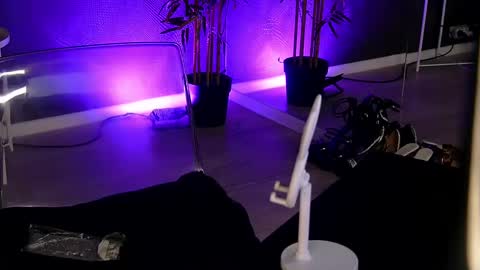 shayblonde online show from 03.01.25