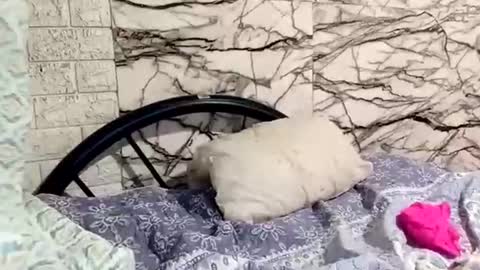 shayka09 online show from 03.23.26