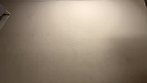 shekween online show from 11.26.25