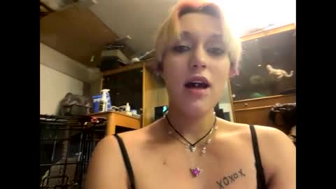 Shelby holes online show from 12.29.24
