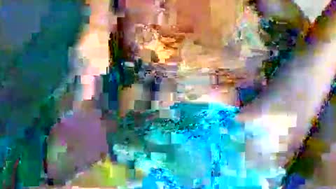 shelly online show from 05.24.26