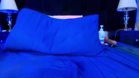 Snapshot of shelsy_loreds chatting on 01.11.25 Shelsy online show from 01.11.25