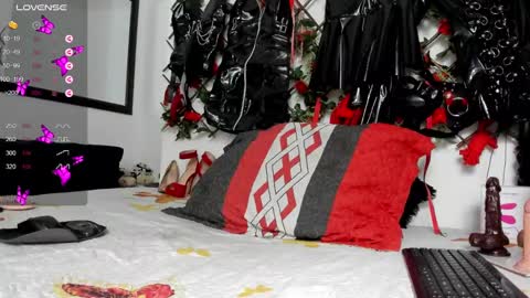 Snapshot of shengyi_blue chatting on 12.29.24 anyela7773 online show from 12.29.24