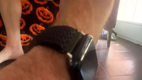 shortshortsman online show from 10.08.25