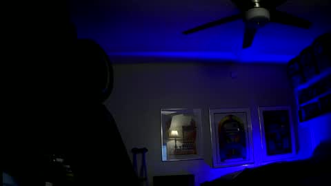 shrewtamer online show from 12.14.24