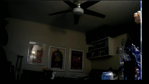 shrewtamer online show from 01.08.25