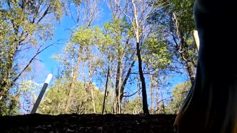 Aurora Wolfe  Shy College Girl  Top 16 of all OF Creators online show from 01.11.25