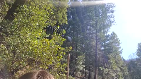 Aurora Wolfe  Shy College Girl  Top 16 of all OF Creators online show from 02.10.25