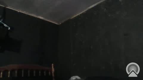 Cdub625 online show from 12.29.24