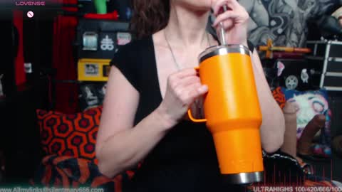 Snapshot of silentmary chatting on 01.21.25 Allmylinkssilentmary666 online show from 01.21.25