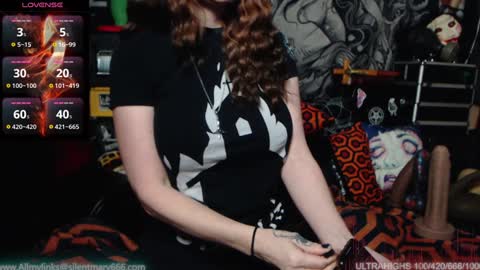 Snapshot of silentmary chatting on 01.25.25 Allmylinkssilentmary666 online show from 01.25.25