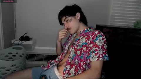 Snapshot of silly_cybin chatting on 01.12.25 cybin online show from 01.12.25