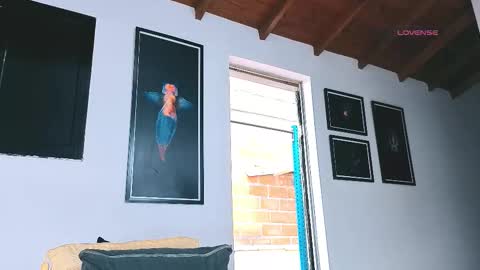 silvabranko online show from 03.06.26