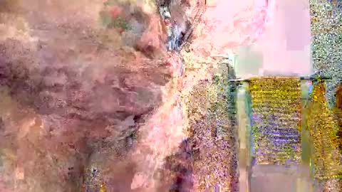 silversurfer1974 online show from 01.16.25