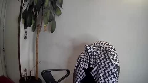 Silvie online show from 01.07.25