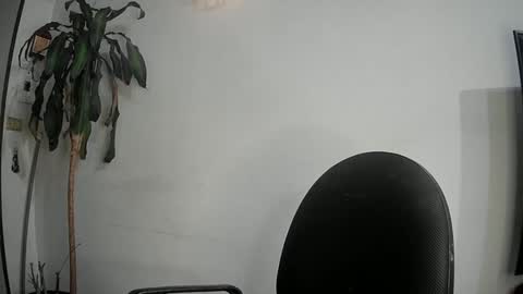 Silvie online show from 03.11.25