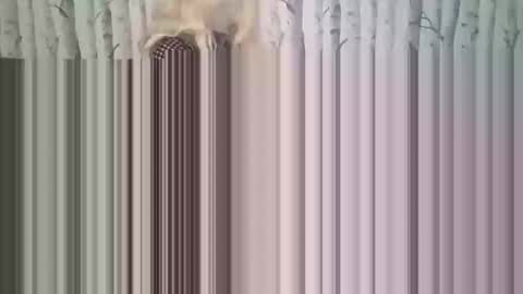 simontupin1973 online show from 12.17.25