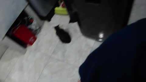 Snapshot of sin_sweet_sin chatting on 10.19.25 sin_sweet_sin online show from 10.19.25