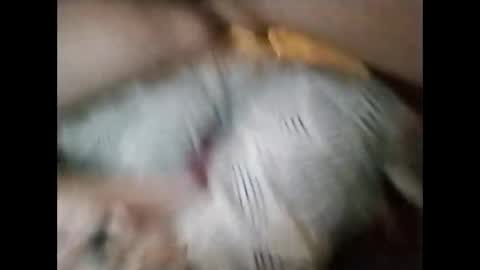 Snapshot of sinbook611 chatting on 10.23.25 sinbook611 online show from 10.23.25